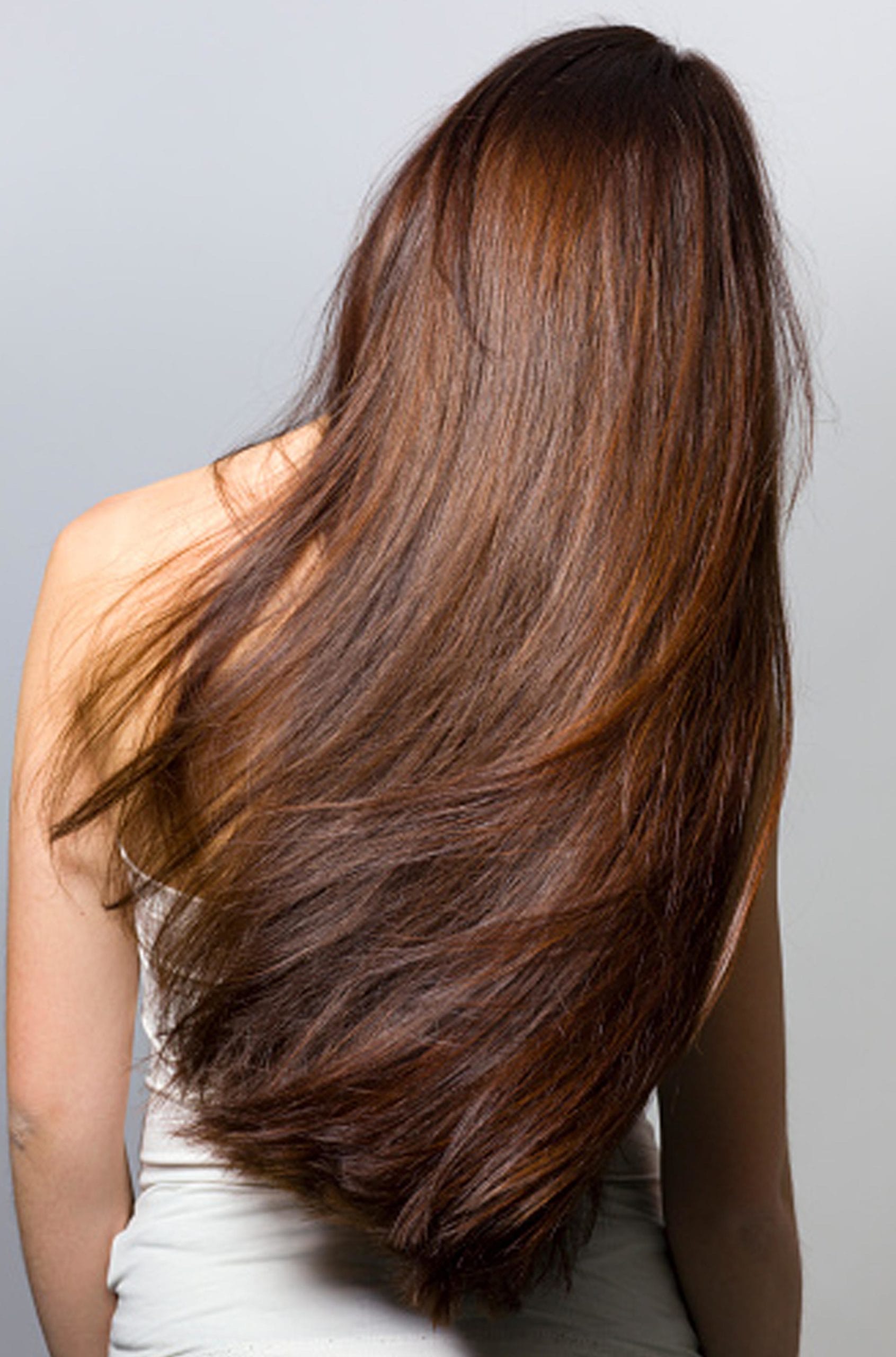 aboutgallery_04 svg+xml;charset=utf